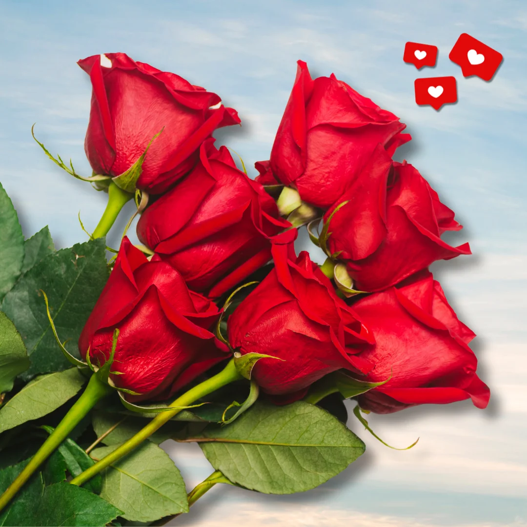 rose captions for Instagram